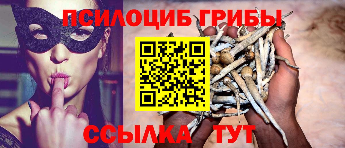 Псилоцибиновые грибы Magic Shrooms Белово